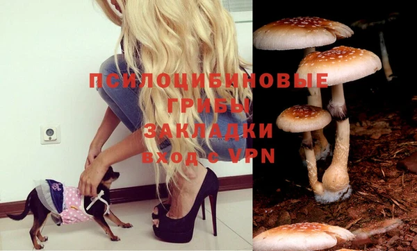 ПСИЛОЦИБИНОВЫЕ ГРИБЫ Армянск