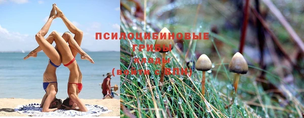дурь Аркадак