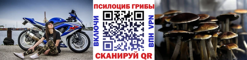 Псилоцибиновые грибы MAGIC MUSHROOMS наркотики Грайворон